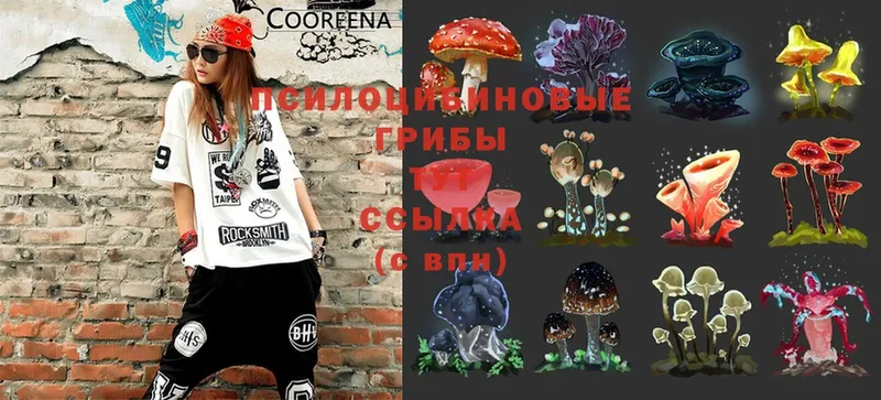 купить   ОМГ ОМГ сайт  Псилоцибиновые грибы Magic Shrooms  Вологда 